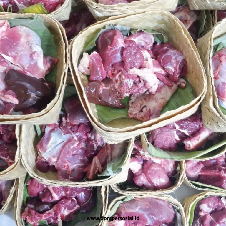 Beli Hewan Qurban Online Di Bali, Qurban Di Bali