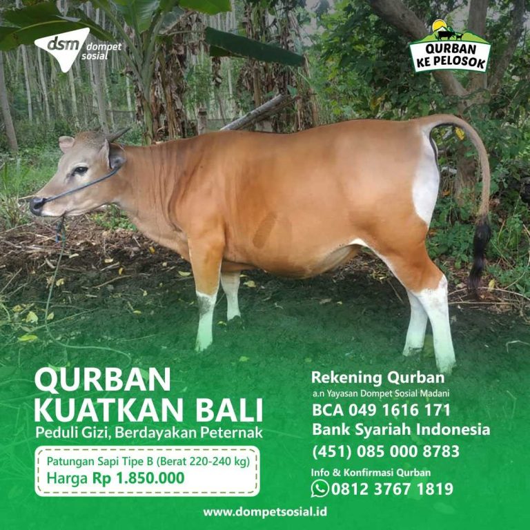 Samakah Ibadah Zakat dan Ibadah Qurban?