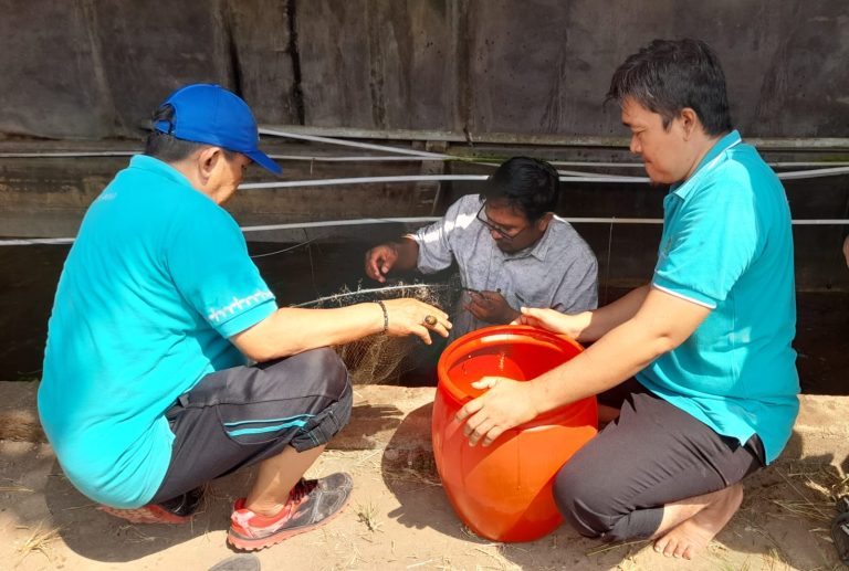 Budidaya Ikan Nila, Upaya Tingkatkan Kesejahteraan Guru Ngaji di Melaya